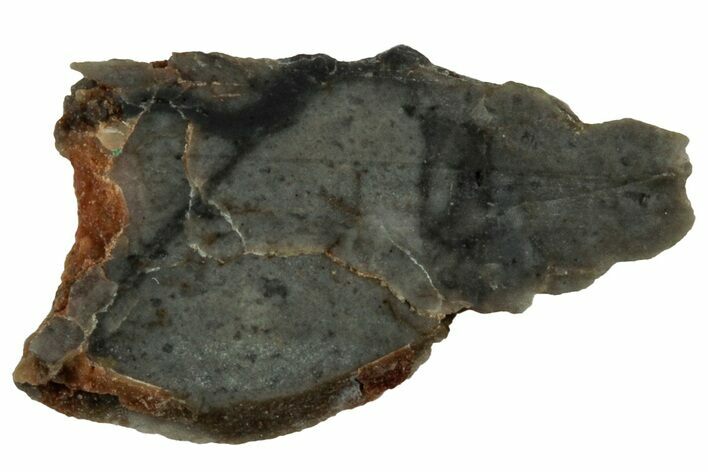 NWA Lunar Meteorite ( g) Slice #307584